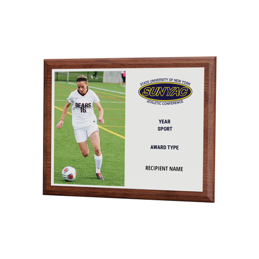 [BLD00310] SUNY2 - Of the Year Picture Plaque